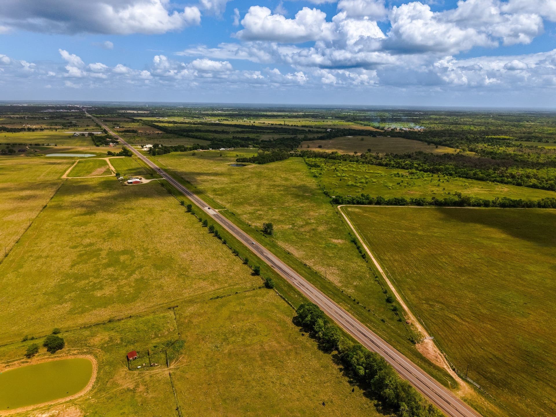 41.76 acres in Limestone County - photo 5