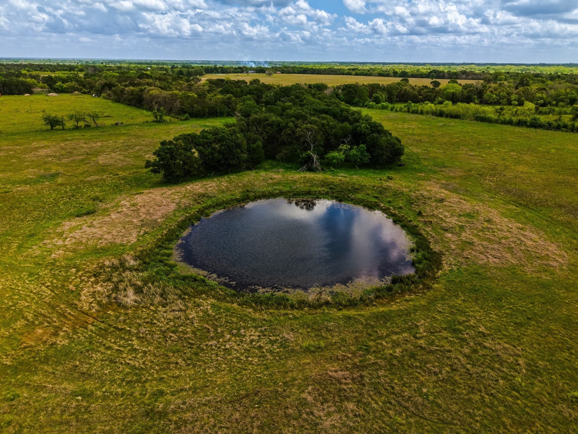 41.76 acres in Limestone County - photo 10