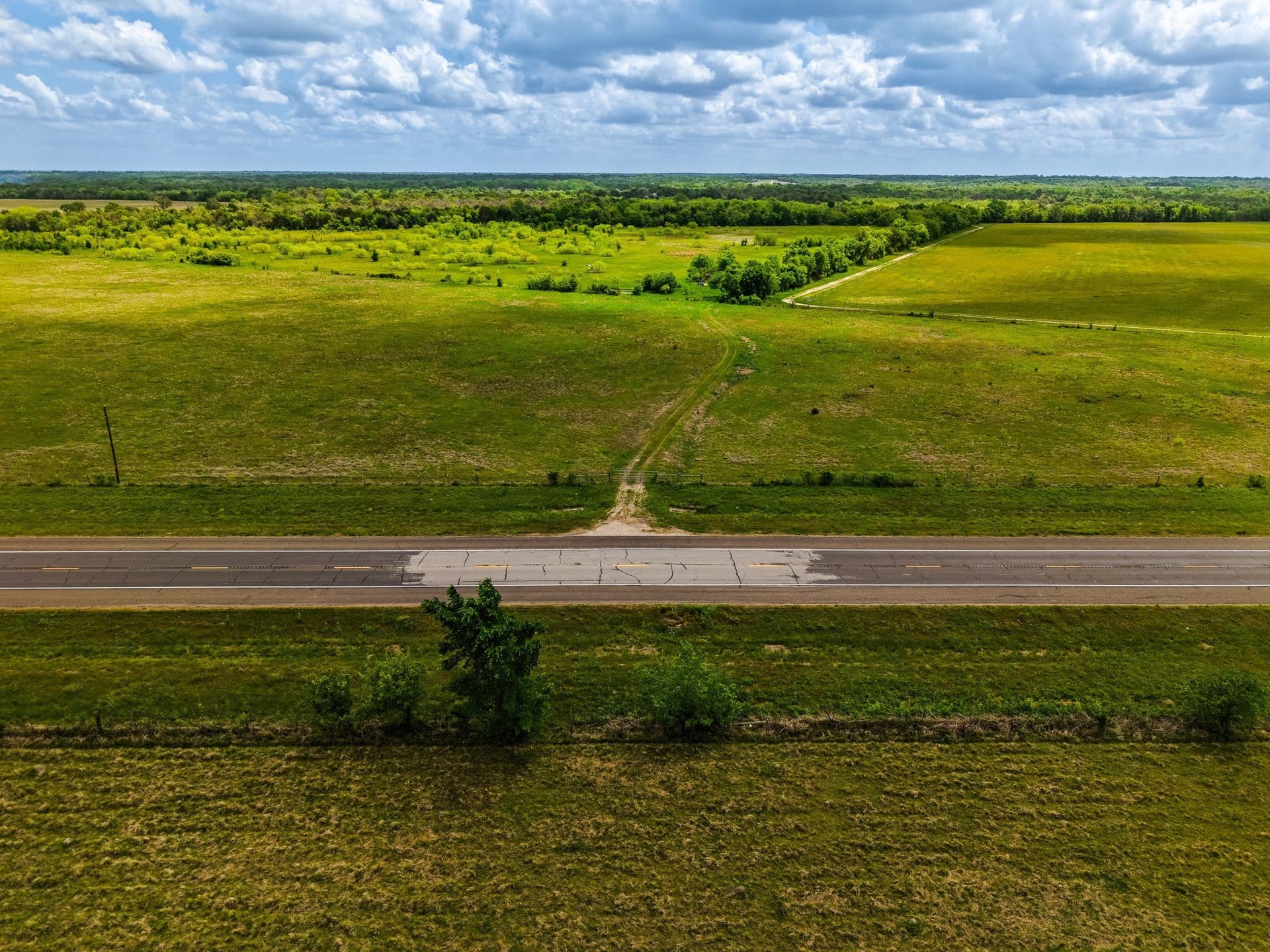 41.76 acres in Limestone County - photo 15