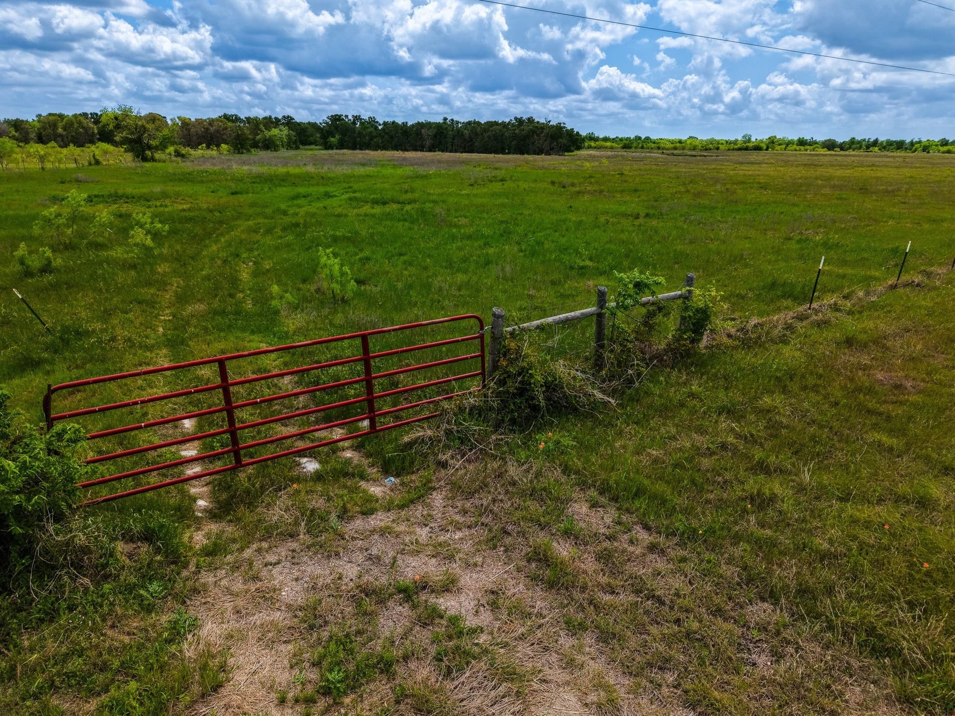 41.76 acres in Limestone County - photo 20