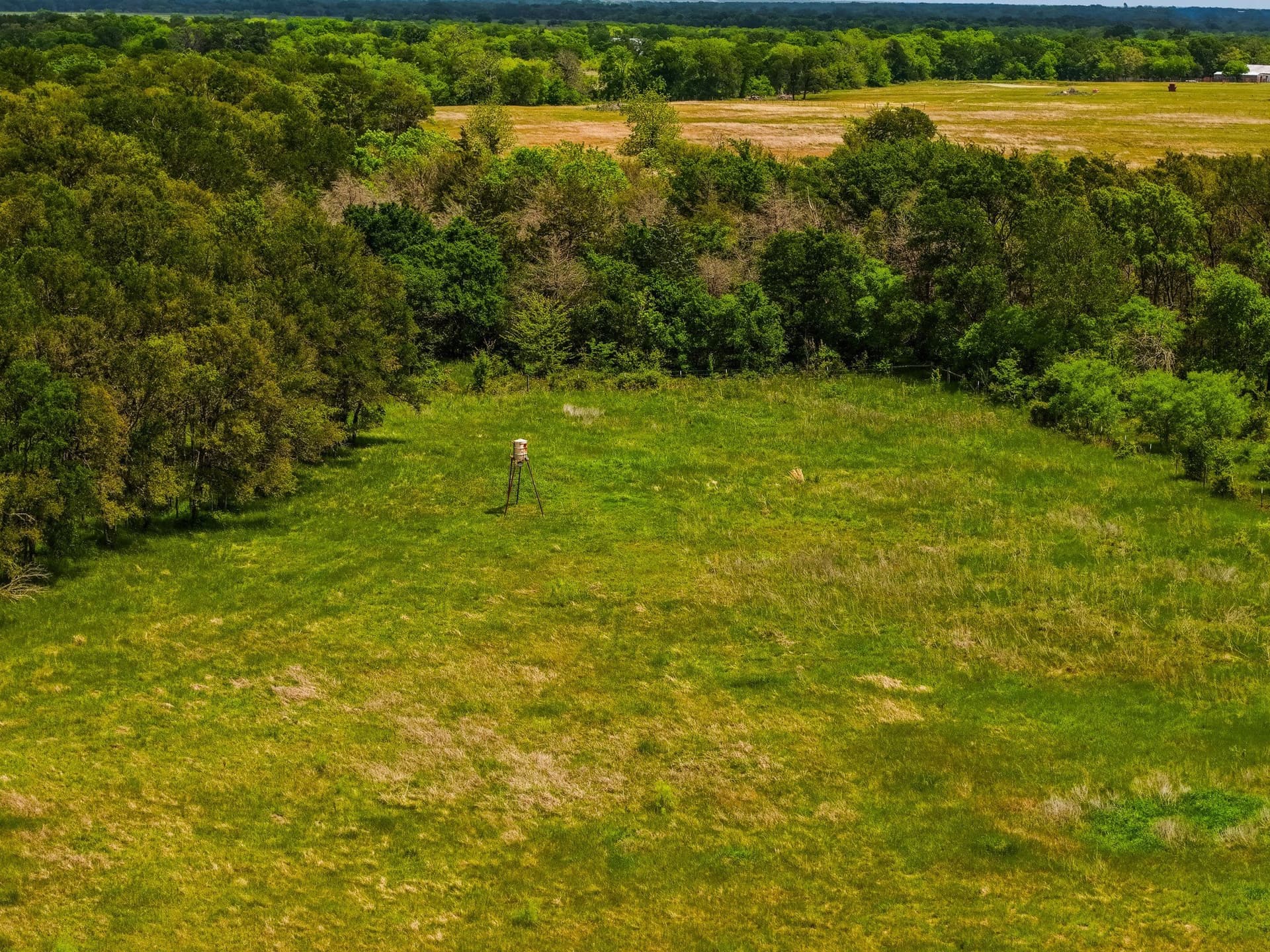 41.76 acres in Limestone County - photo 23