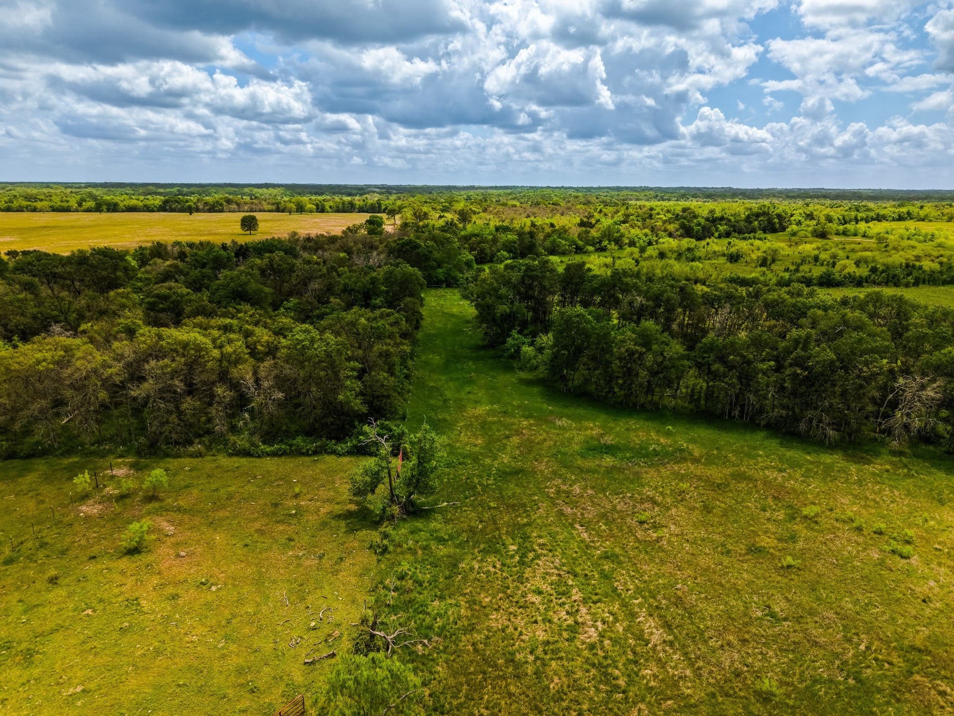 41.76 acres in Limestone County - photo 22