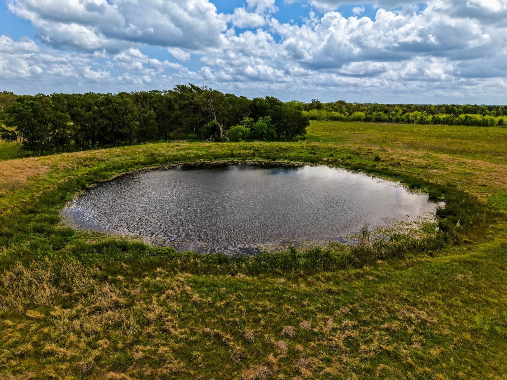41.76 acres in Limestone County - photo 13