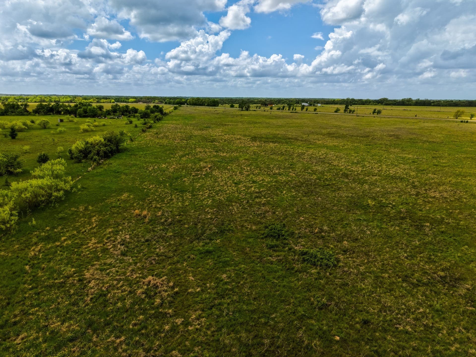 41.76 acres in Limestone County - photo 25