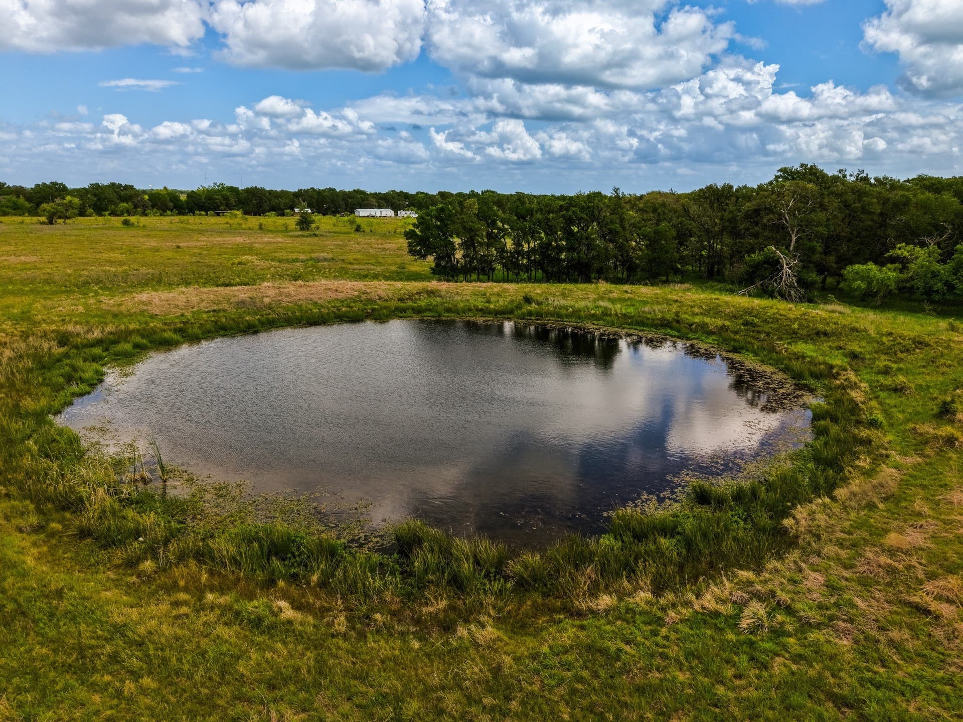 41.76 acres in Limestone County - photo 12