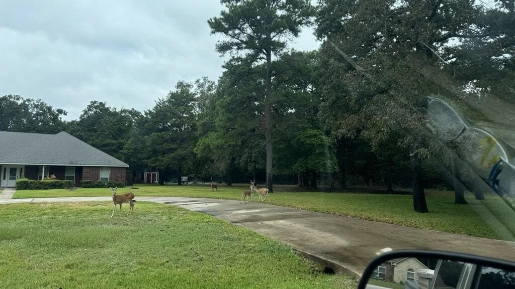 0.42 acres in HENDERSON County - photo 2