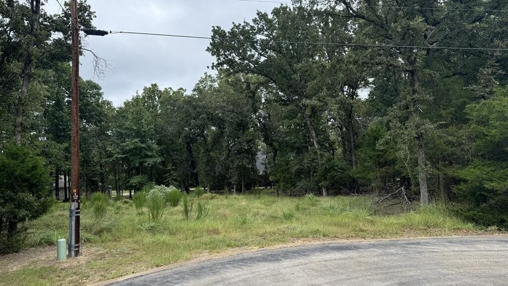 0.42 acres in HENDERSON County - photo 3