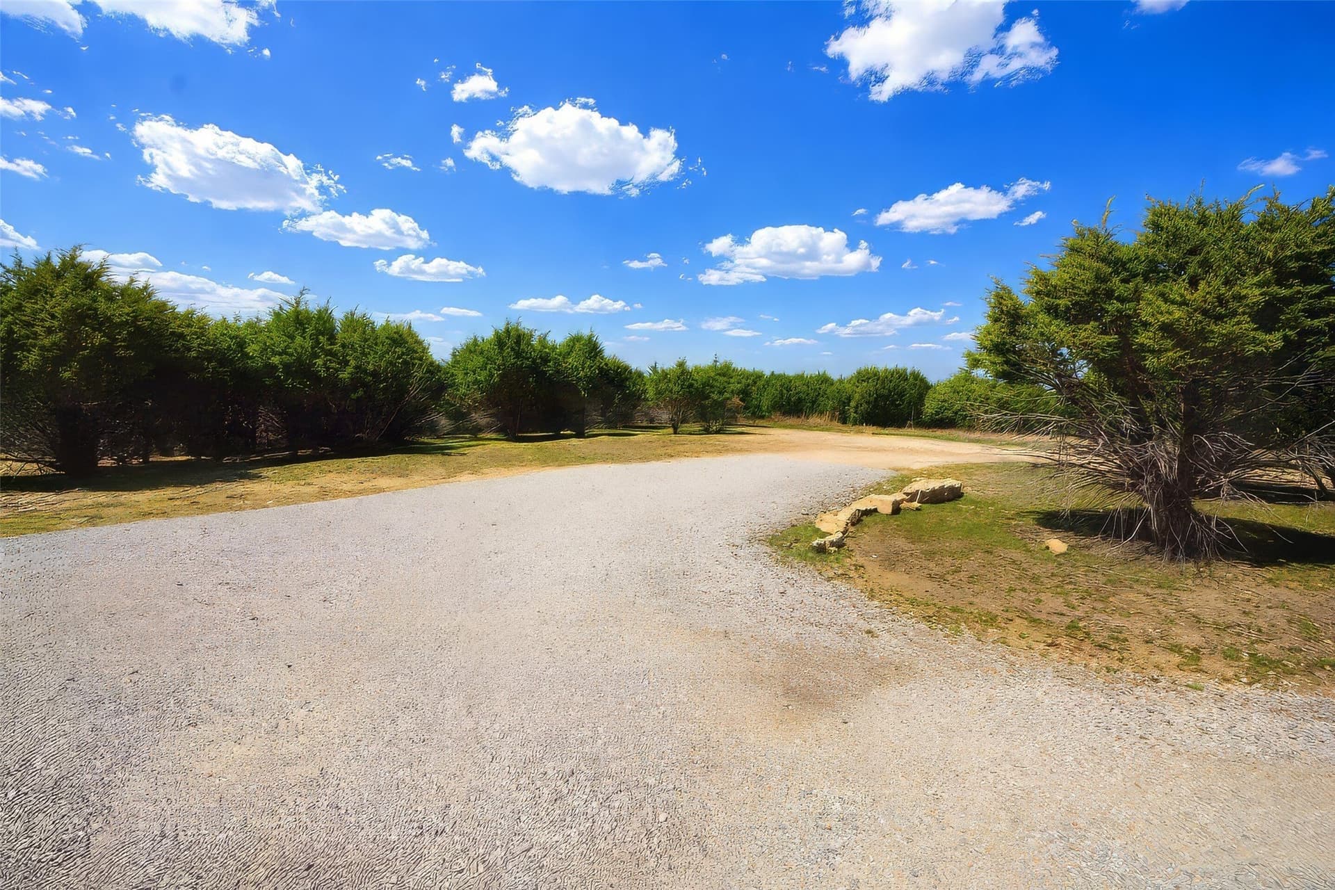10 acres in Palo Pinto County gallery image 4