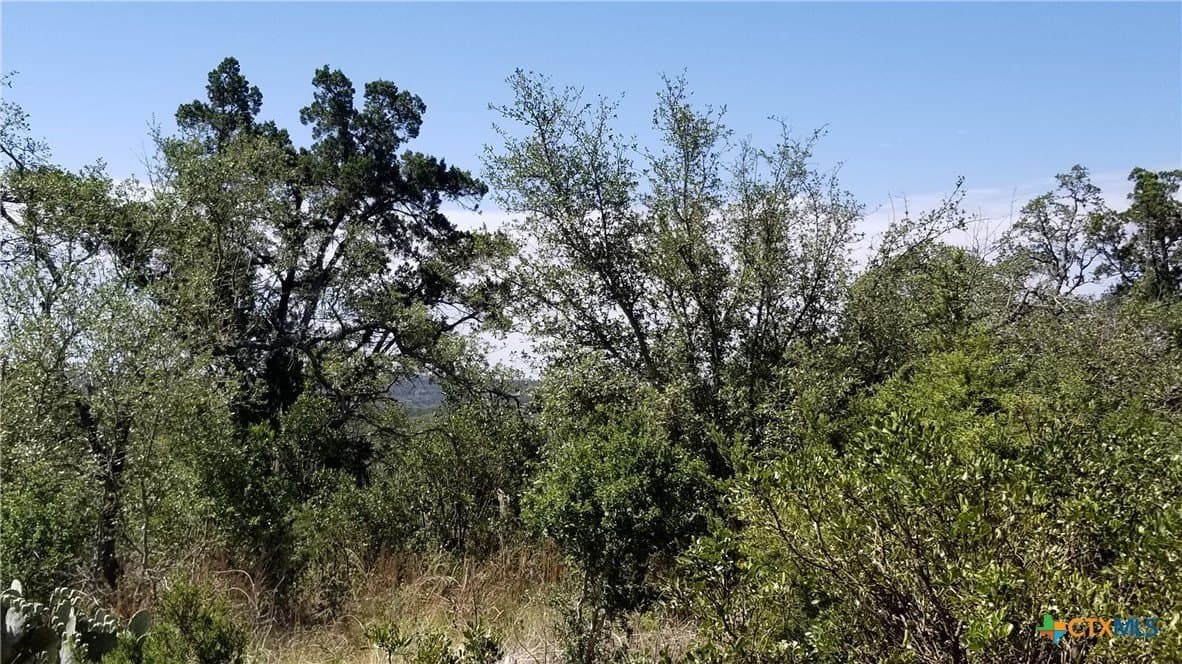 2.72 acres in Comal County - photo 15