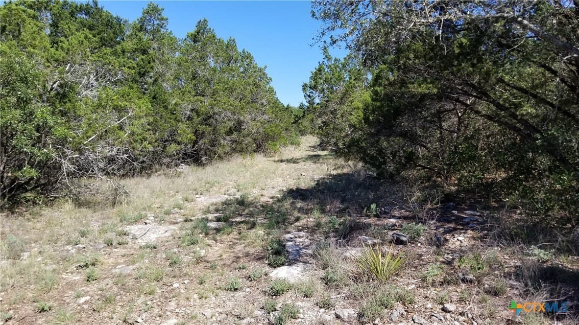 2.72 acres in Comal County - photo 7