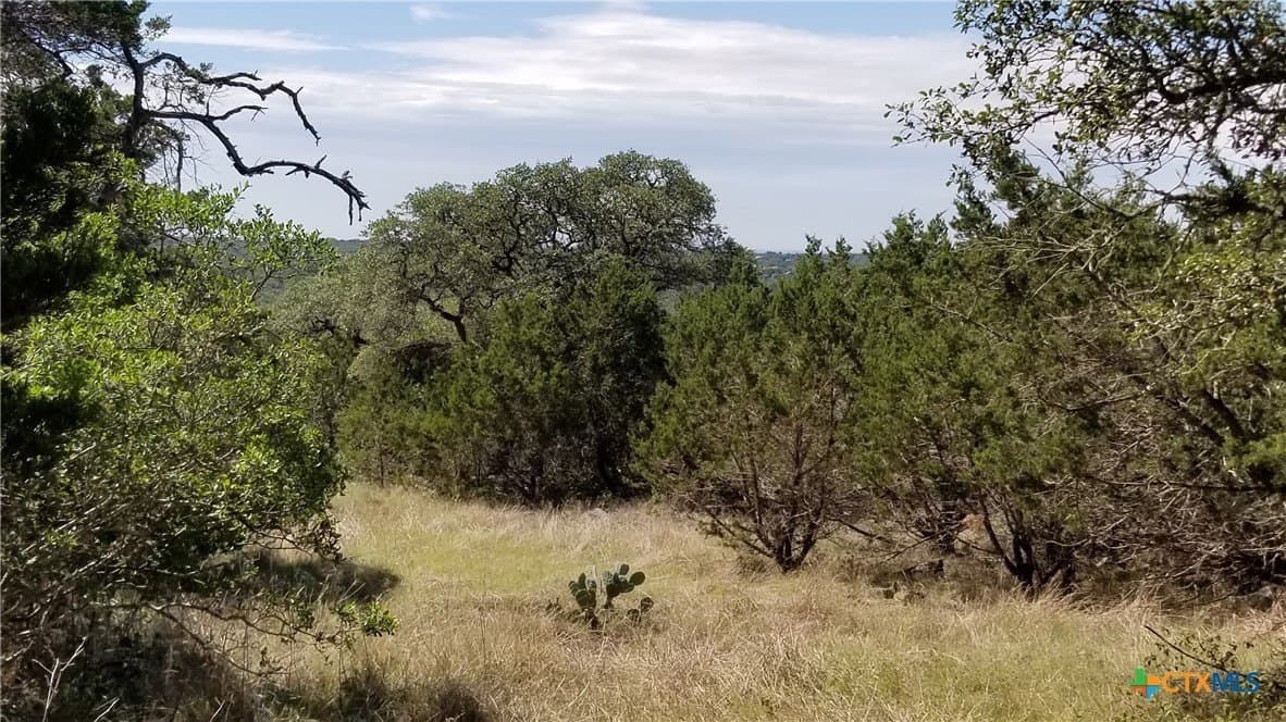 2.72 acres in Comal County - photo 13