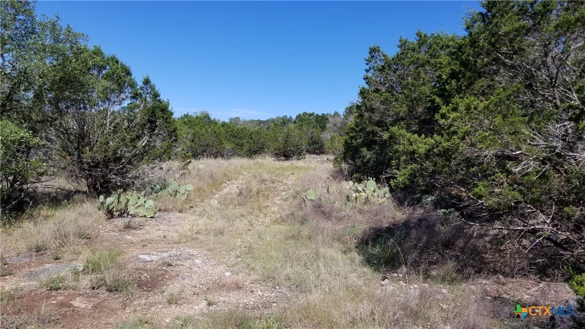 2.72 acres in Comal County - photo 6