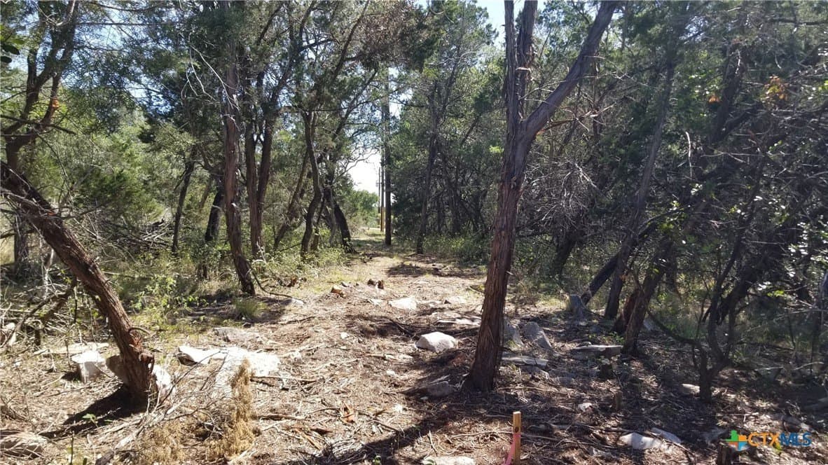 2.72 acres in Comal County - photo 10