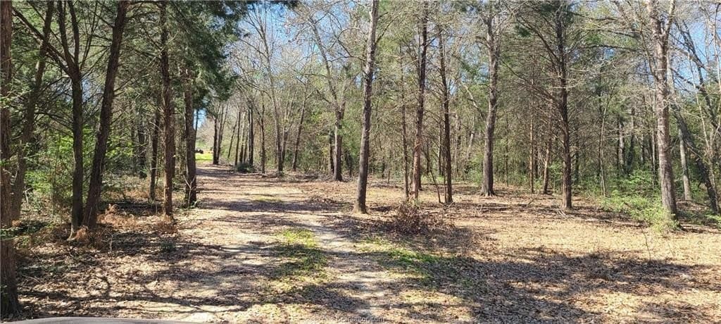 25 acres in Robertson County gallery image 2