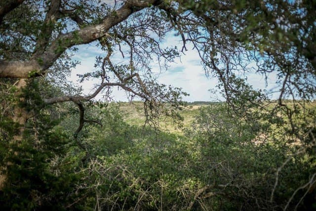 5 acres in Blanco County - photo 8