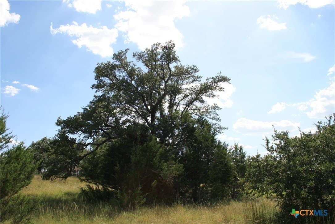 0.23 acres in Blanco County - photo 16