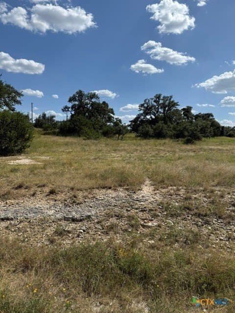 0.23 acres in Blanco County gallery image 2