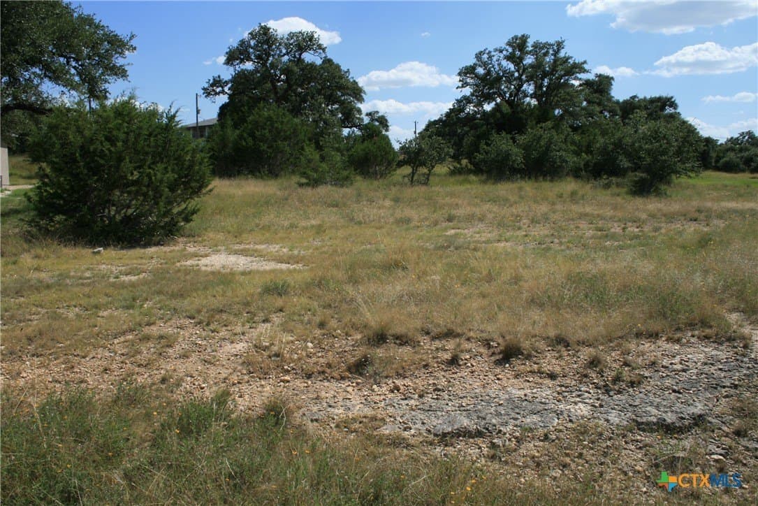 0.23 acres in Blanco County - photo 12