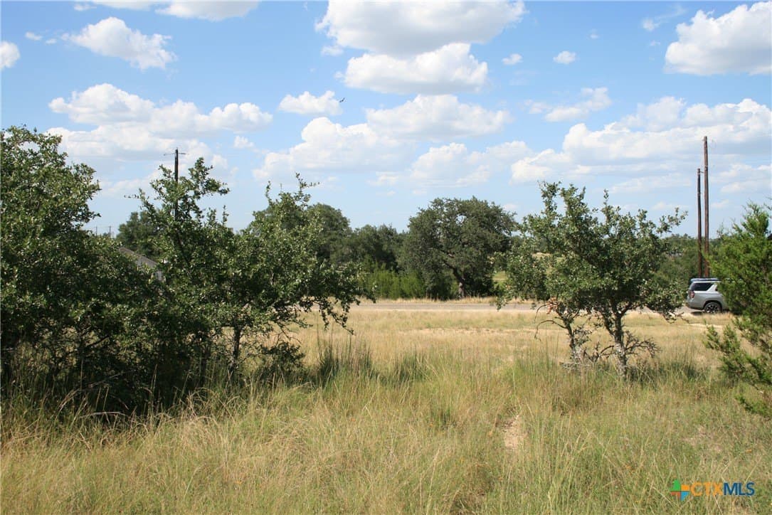 0.23 acres in Blanco County - photo 14