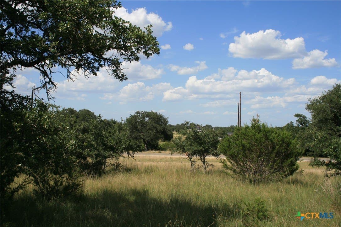 0.23 acres in Blanco County - photo 15