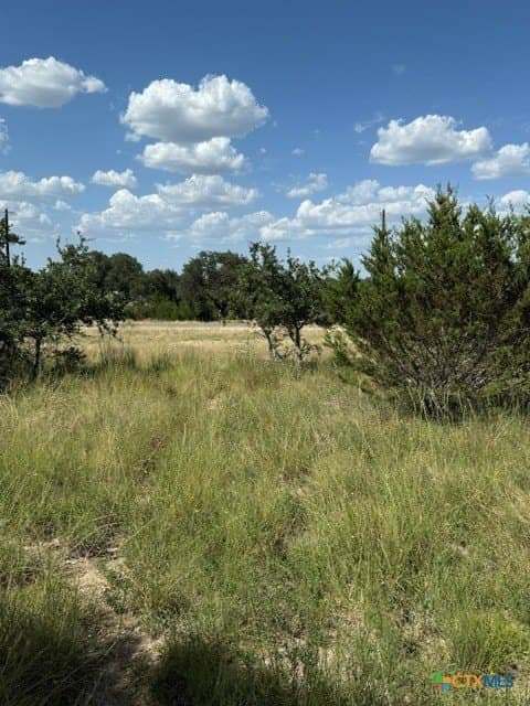 0.23 acres in Blanco County gallery image 4