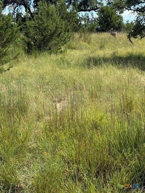 0.23 acres in Blanco County gallery image 3