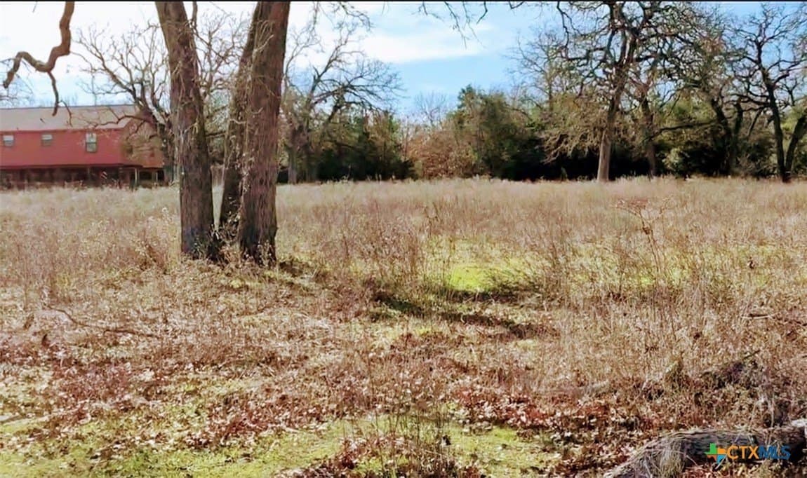 14.1 acres in Milam County - photo 9
