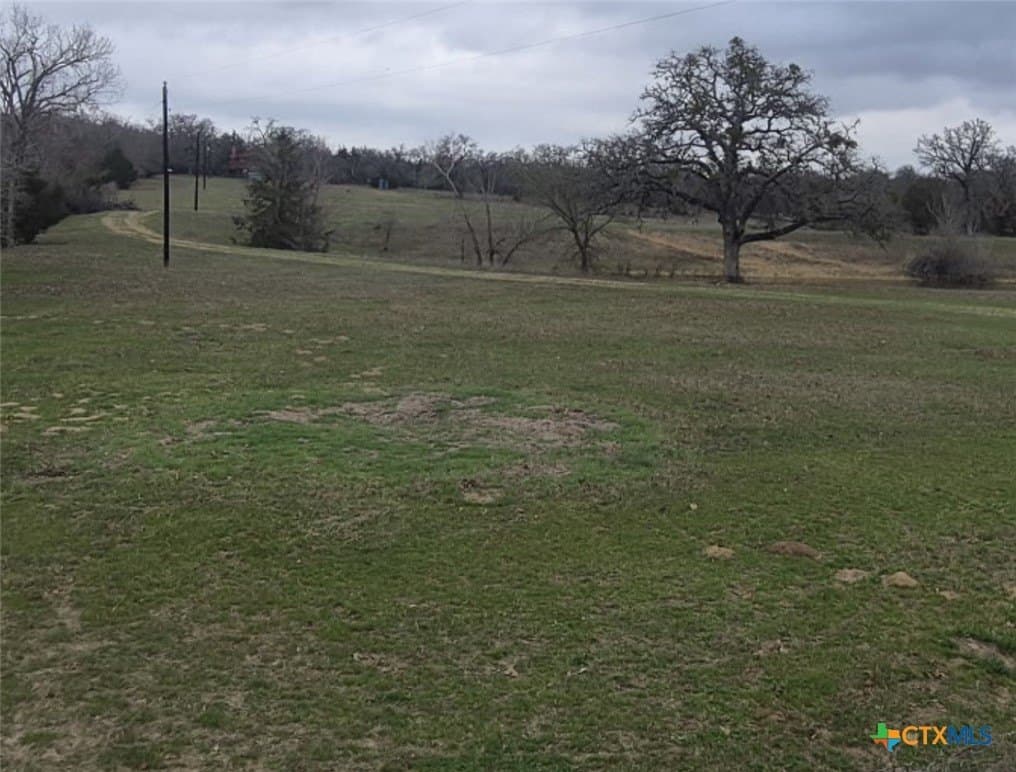 14.1 acres in Milam County gallery image 3