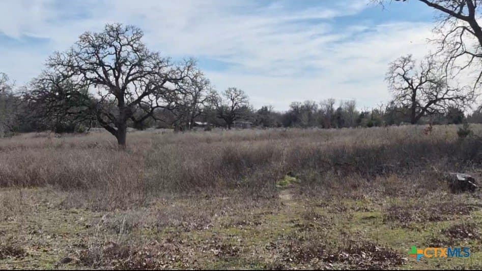 14.1 acres in Milam County - photo 6