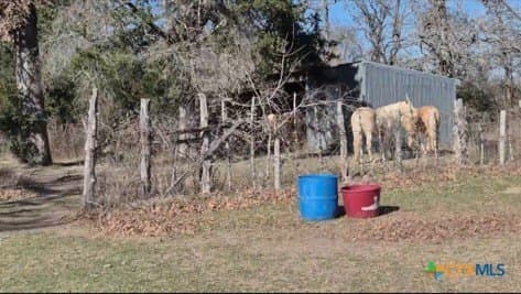 14.1 acres in Milam County gallery image 4
