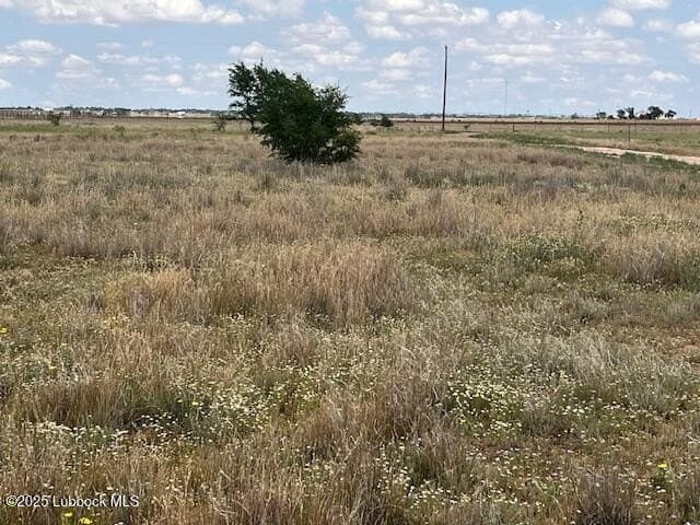10.31 acres in Lubbock County - photo 10