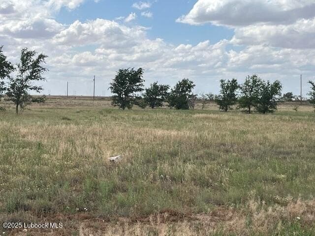 10.31 acres in Lubbock County gallery image 3