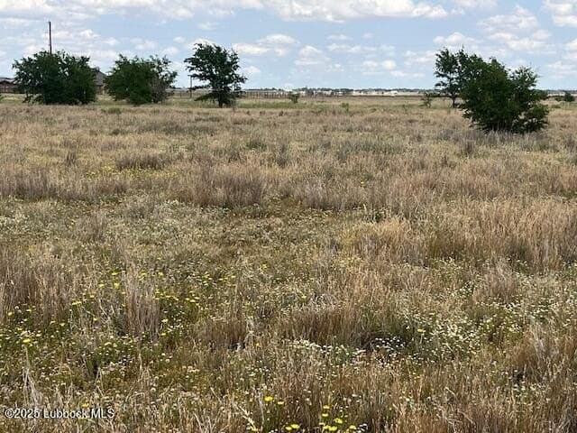 10.31 acres in Lubbock County - photo 9