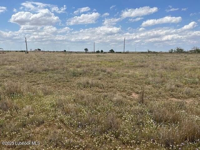 10.31 acres in Lubbock County - photo 6