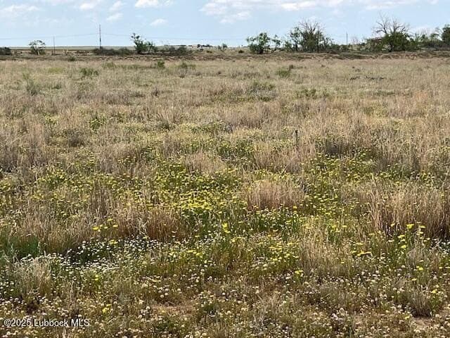 10.31 acres in Lubbock County - photo 11