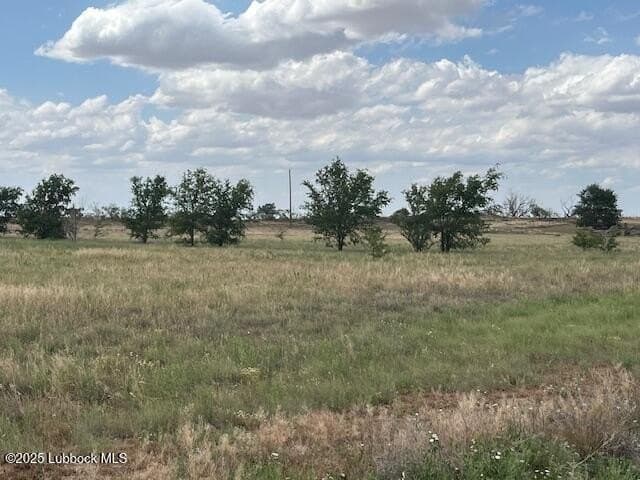 10.31 acres in Lubbock County gallery image 2