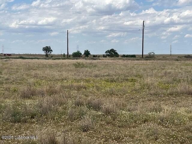 10.31 acres in Lubbock County - photo 7