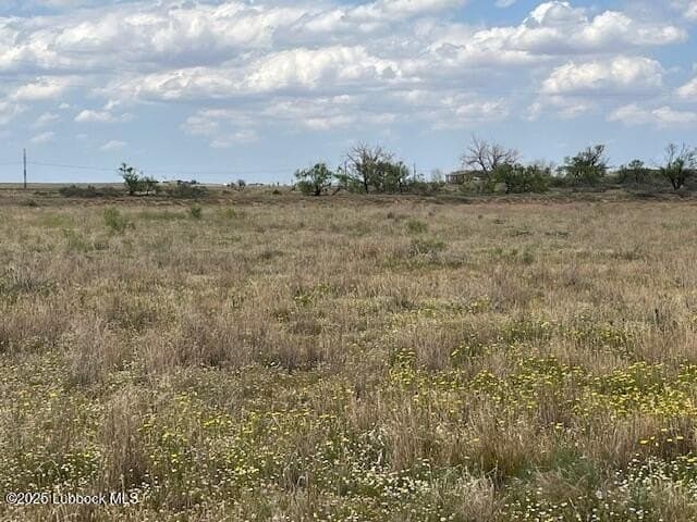 10.31 acres in Lubbock County - photo 8