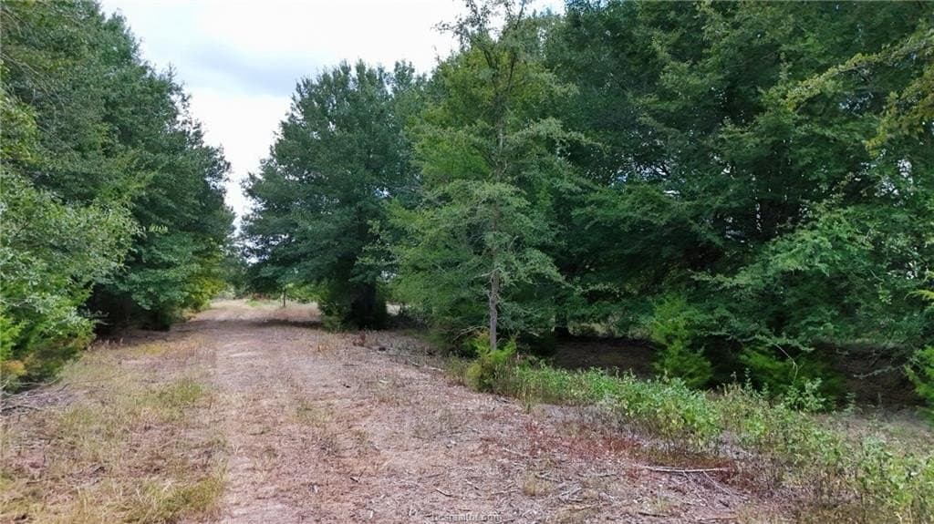 49.3 acres in Robertson County - photo 4