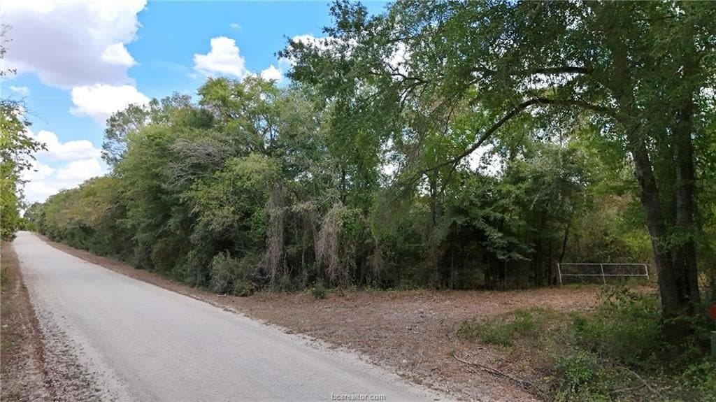 49.3 acres in Robertson County - photo 3