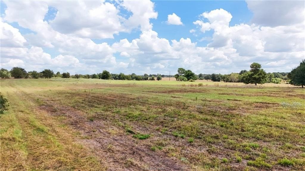 49.3 acres in Robertson County - photo 5