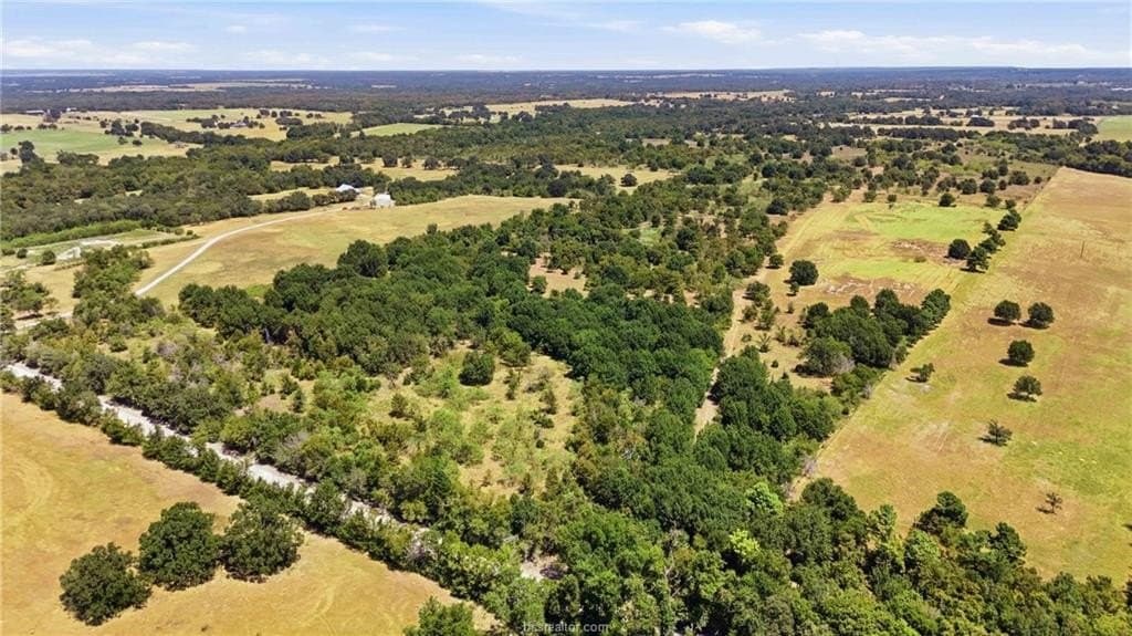 49.3 acres in Robertson County - photo 9