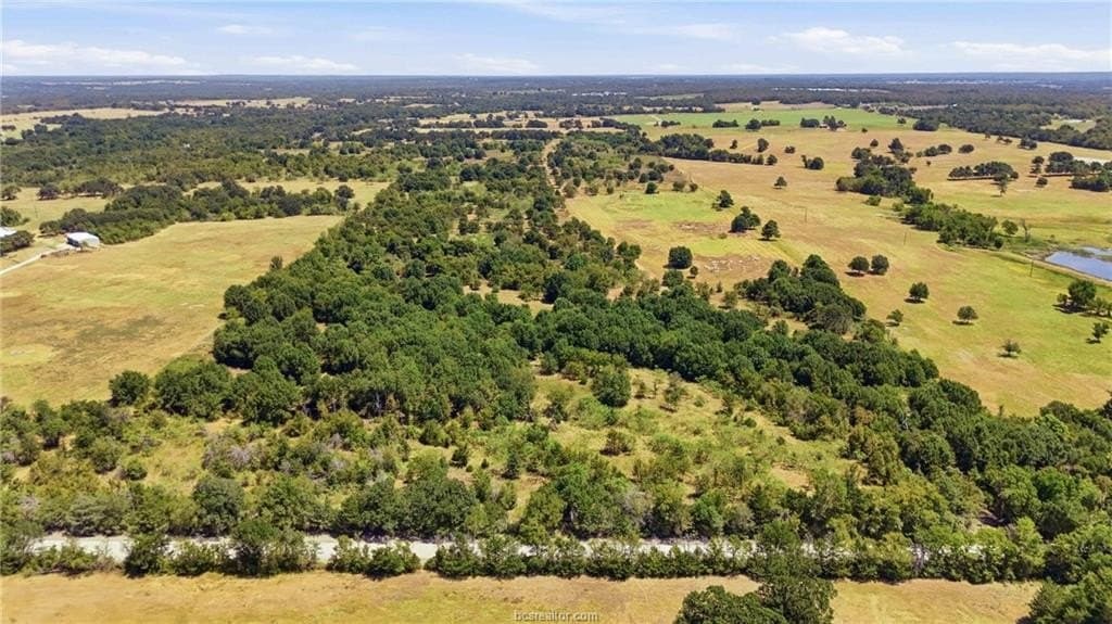 49.3 acres in Robertson County - photo 6