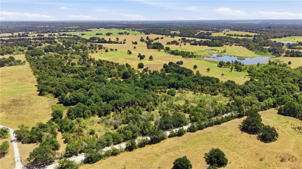 49.3 acres in Robertson County - photo 8
