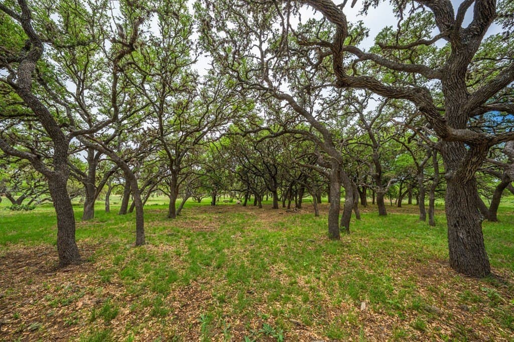 42.68 acres in Bandera County - photo 6