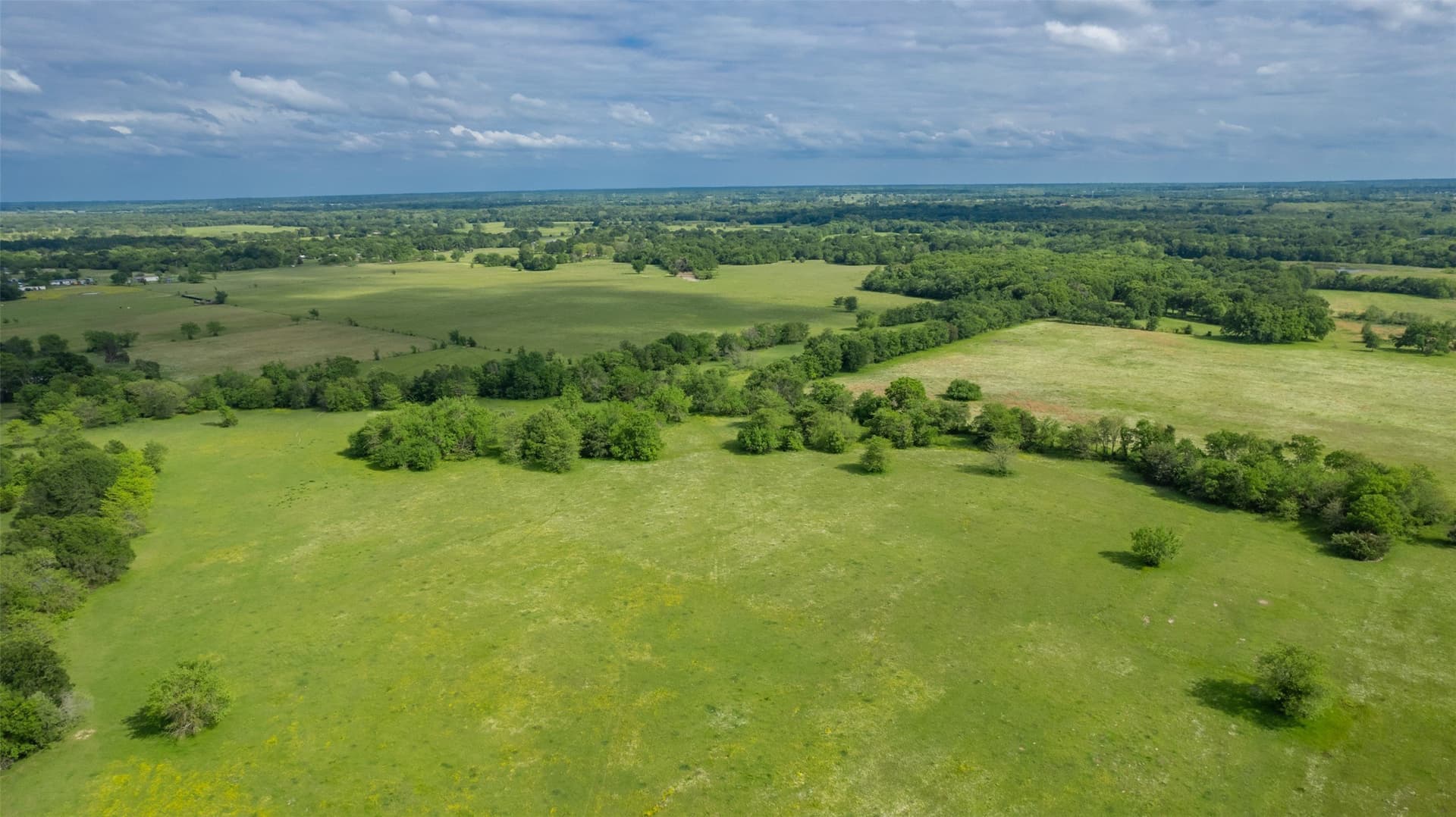 58.82 acres in Delta County gallery image 3