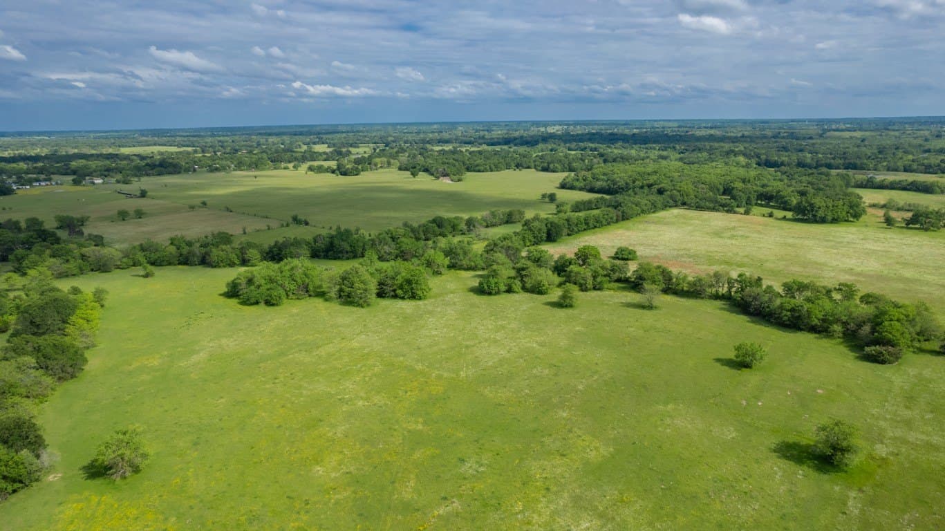 58.82 acres in Delta County gallery image 4