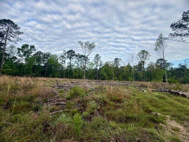 19.91 acres in Texas County featured view