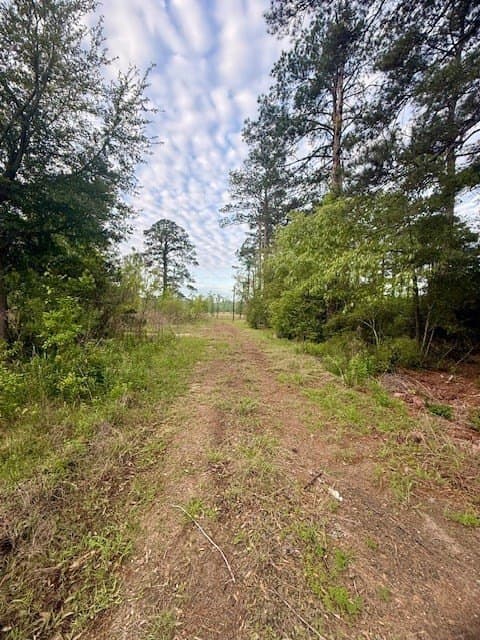 19.91 acres in Texas County gallery image 2