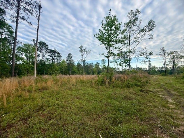 19.91 acres in Texas County gallery image 3